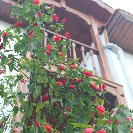 Silenos Boutique Homestay