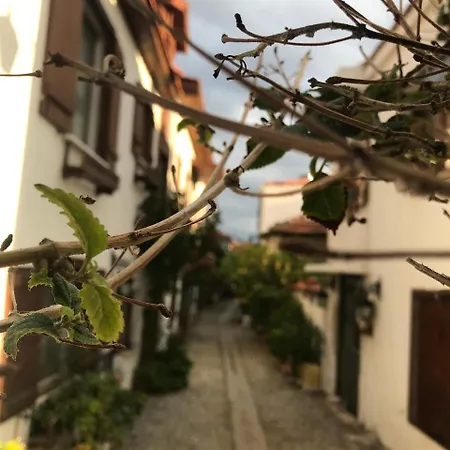 Homestay Silenos Boutique